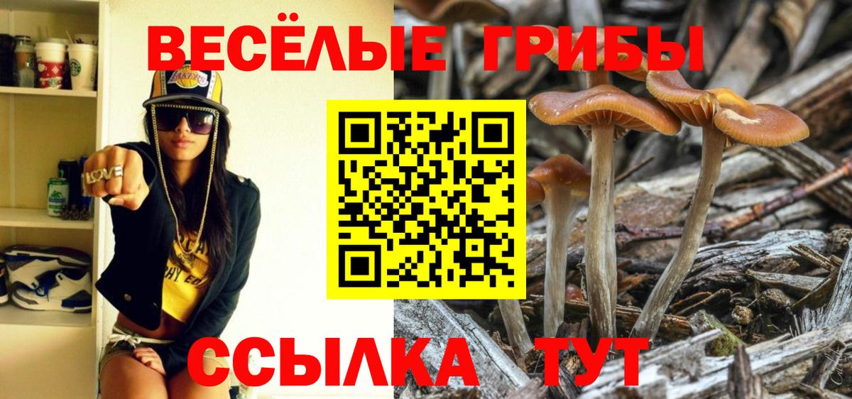 Псилоцибиновые грибы MAGIC MUSHROOMS Феодосия